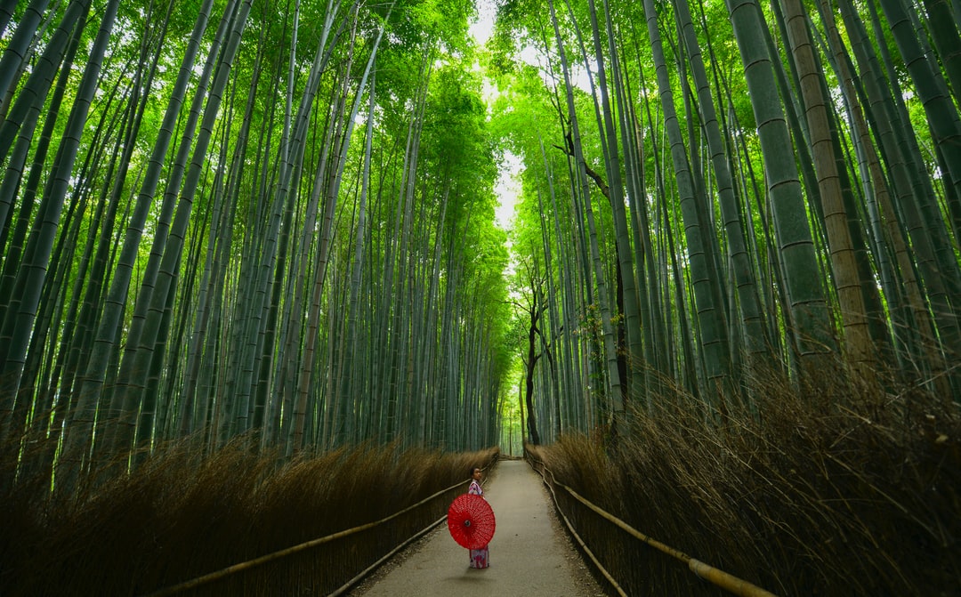 广州富力迎战河北华夏幸福，实力对比