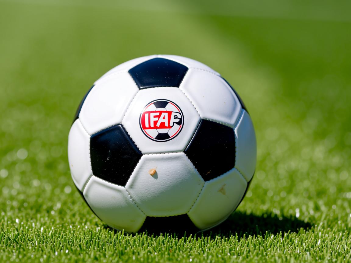 米兰体育milan-国家队技战术复盘缺乏多平台公开解读,国家队战斗方式 第2张